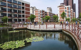 无为一中2017高考成绩，无为一中2017高考成绩查询