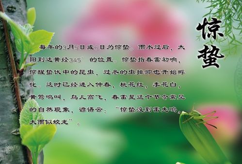 关于节气的谚语，关于节气的谚语二年级