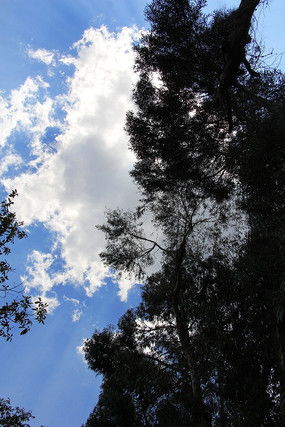 求一部耽美小说,重生文,小受出生的时候是一个废物,所以取名叫“废