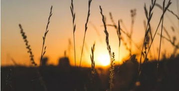 清华大学哲学系研究生毕业薪资