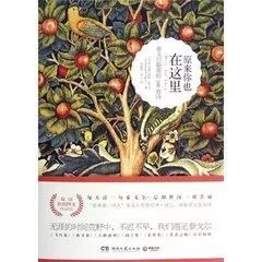 冰心现代诗100首(2)