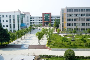 安徽省无为第一中学的办学成果