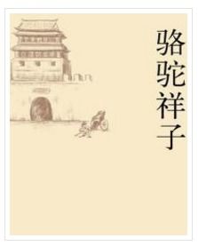 骆驼祥子第10章批注。(就是摘抄原文的一段再赏析 越多越好。至少