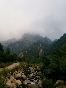 河南中文导游词:西峡各景区——景点介绍