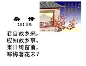 王维古诗《杂诗》的意思