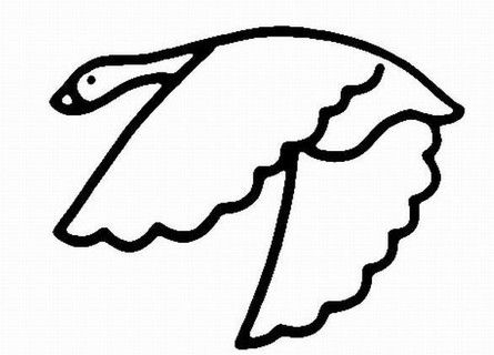 关于大雁不南飞的手抄报 关于大自然的手抄报