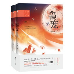 枭宠丁墨，枭宠丁墨讲的什么