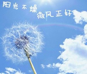 什么的微风?