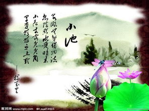 于夏天的诗句有哪些