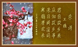 杂诗王维这首诗的意思是什么