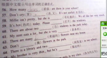 写作业的英语怎么写