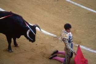 徘徊于斗牛之间，徘徊于斗牛之间翻译