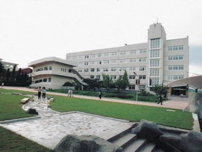辽东学院教务系统怎么进不去