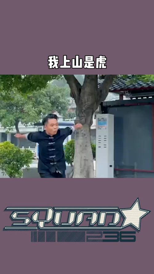 我上山是虎 我下海是龙 这首歌叫什么名字?