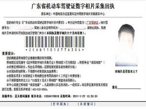数码回执，数码回执是什么意思