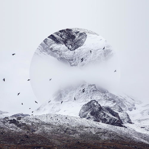 pond5，pond5素材网站