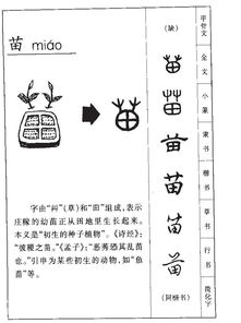 _苗的读音_苗的读音是什么