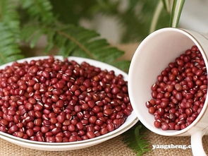 红豆薏米吃多久能减肥 什么人适合用红豆薏米减肥
