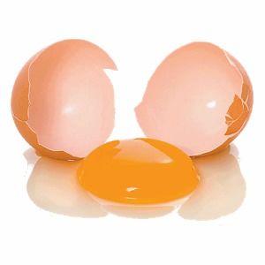 egg的复数，egg的复数加s还是es