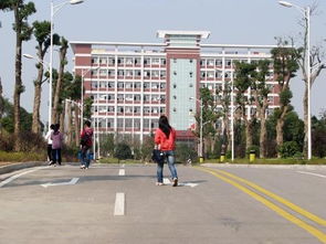 湖南电子科技大学，湖南电子科技大学职业技术学院