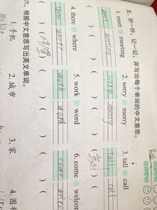 bowl什么意思中文