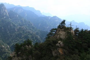 西峡县有多少个乡镇