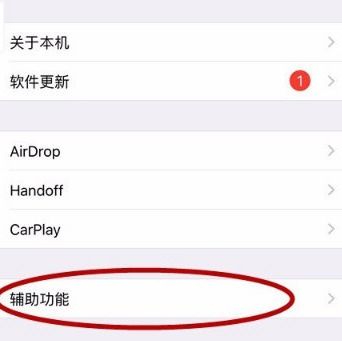 苹果手机旁白是什么意思