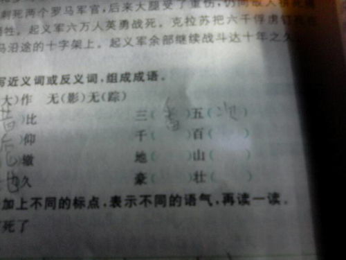 稿的组词有哪些