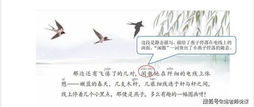 三年级语文下册燕子课文写了燕子哪些特点