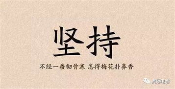 坚持下去，坚持下去的名言名句