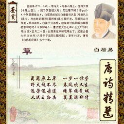 离离原上草,一岁一枯荣的意思是什么