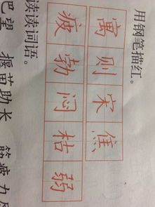 红组词，红组词100个