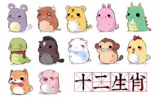 今年28岁属什么的生肖，今年28岁属什么的生肖表