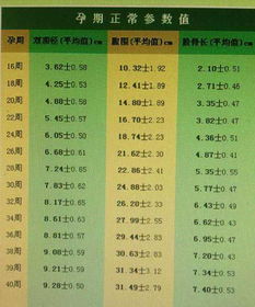胎儿体重计算公式
