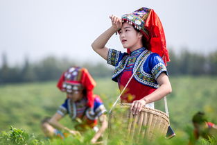 神州瑶，神州瑶课前德育教育