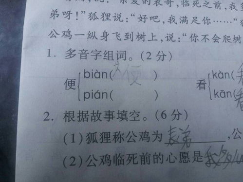 便字能组什么词