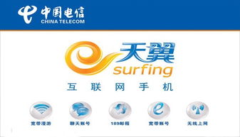 中国电信官方网站是多少?