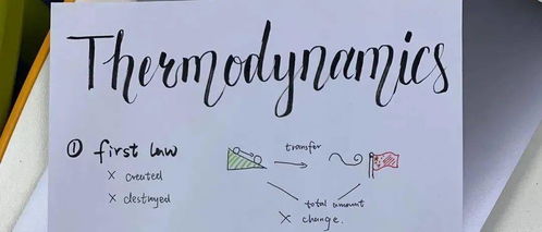 漂亮的的英文，漂亮的花的英文