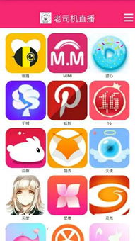 二次元爱好者聚集地有哪些?