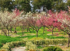 形容初春寒冷的句子，形容初春寒冷的句子简短