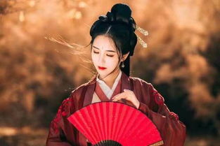 有什么好看的小说