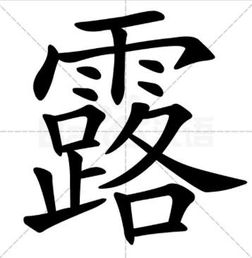 “露”这个字是多音字,应该怎么区分?
