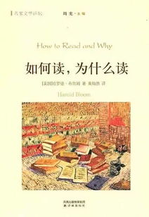 泸的读音是什么?