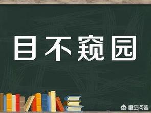 目不窥园的意思是什么，沥尽心血的意思是什么