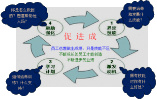 论述情境领导理论的主要观点