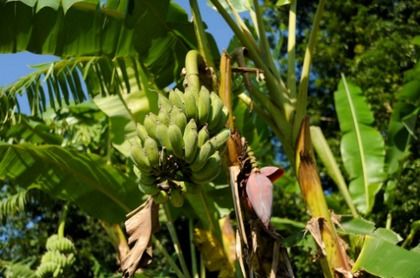 折断的拼音，折腾的拼音