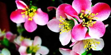 形容初春的寒冷怎么写?