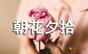 狗,猫,鼠好词好句