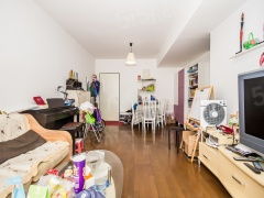 双动力洗衣机的强度是什么意思?