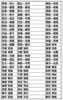静的反义词是什么?